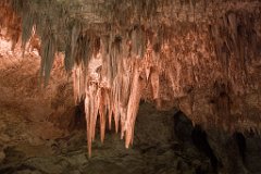 26_Carlsbad Caverns National Park_05